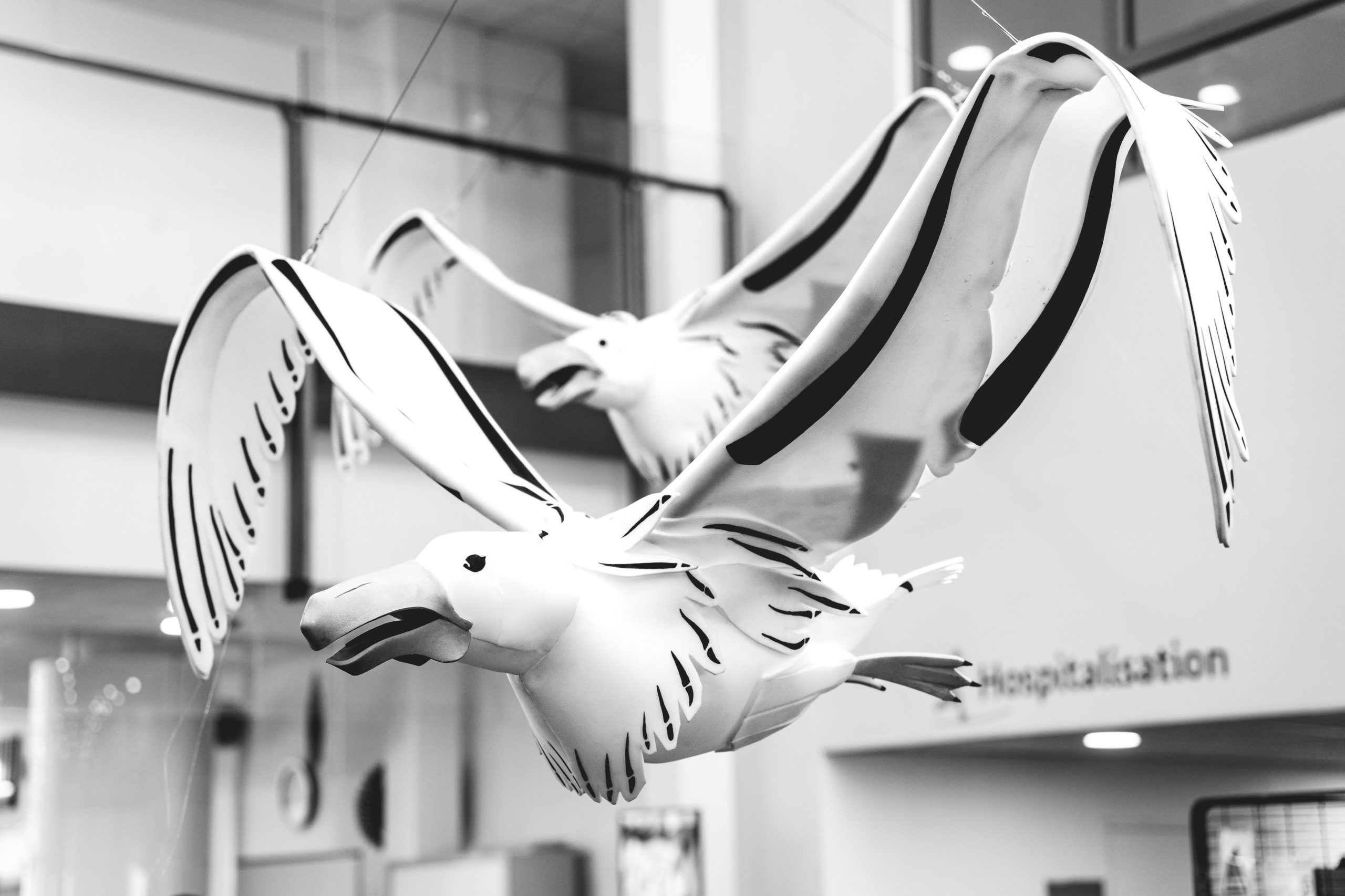 Installation suspendue Grand espace Albatros CHU Grenoble Création Audrey Vermont