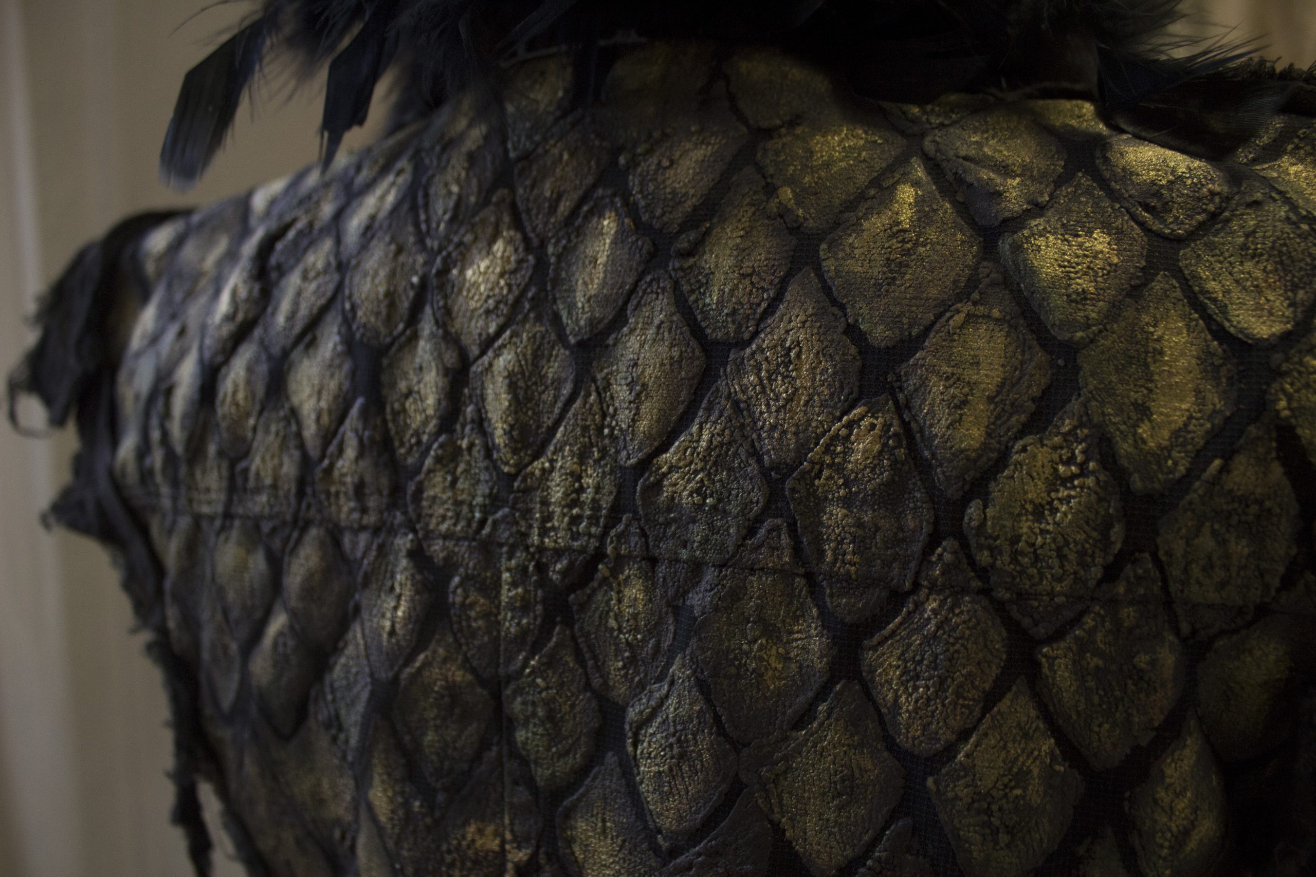 Ecaille de dragon Costume A.VERMONT