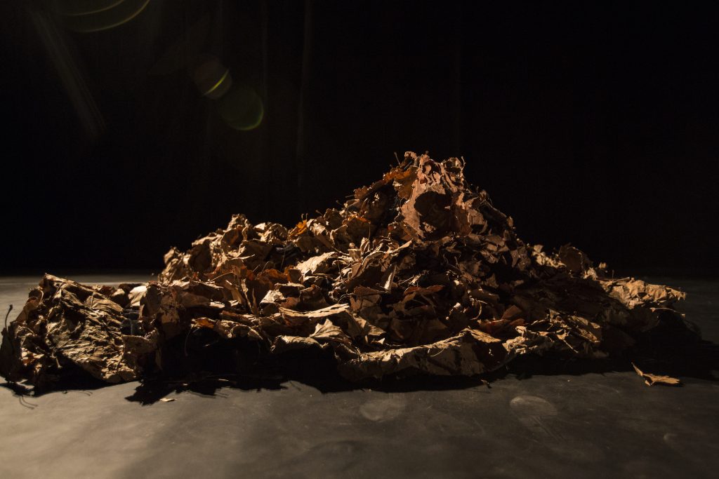 thibault-lefébure-Audrey-Vermont- Tas de feuille